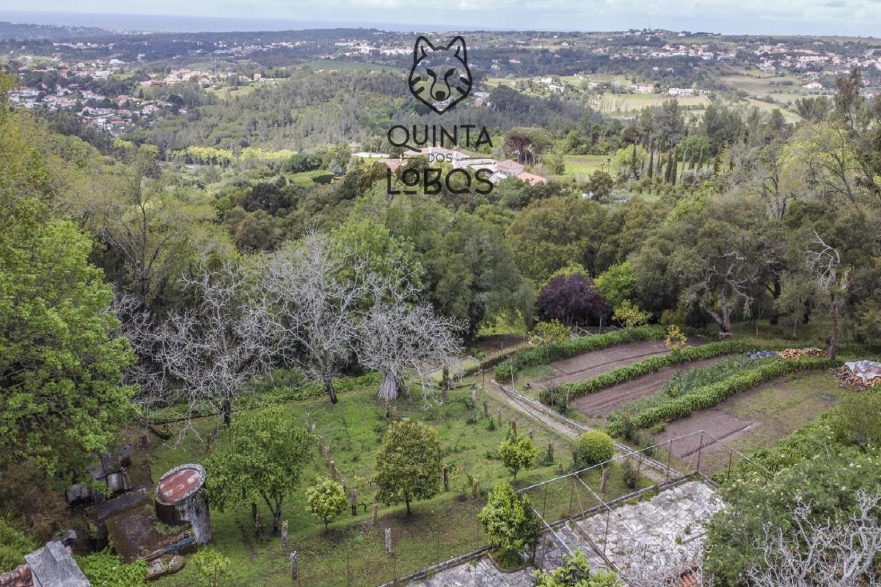 Quinta Dos Lobos Boutique Hotel - Nature Experience Sintra Luaran gambar