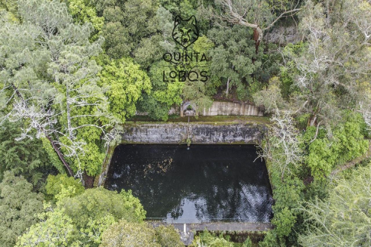 Quinta Dos Lobos Boutique Hotel - Nature Experience Sintra Luaran gambar