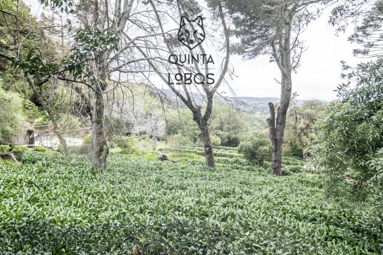 Quinta Dos Lobos Boutique Hotel - Nature Experience Sintra Luaran gambar